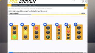 PREDRIVER Screenshot - Online Driving Education