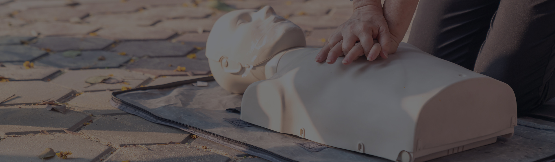 Plan & Prepare – Contact