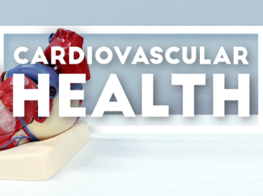 Crdiovascular Health cover image - Heart Month Premergency