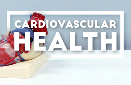 Cardiovascular Health: Keeping A Healthy Heart
