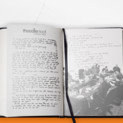 A Corporate Field Trip: Remote Work, What we Learned & More