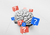 Problem-based learning Premergency Inc.
