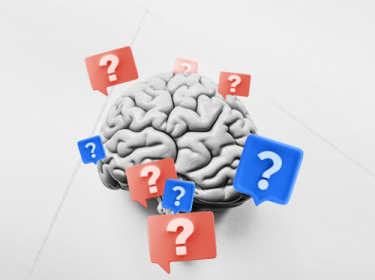 Problem-based learning Premergency Inc.